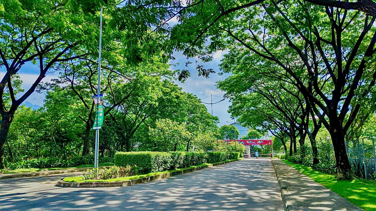 canh-quan-thu-gian